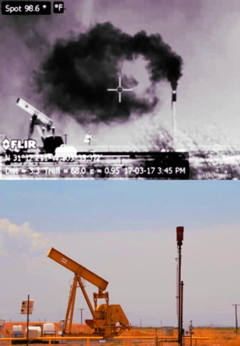 View image on Twitter