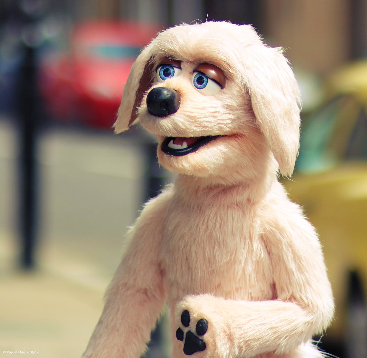 PuppetsMagicUk's tweet photo. Outtake shot of this character from a filming session 🐩🎥🌟
#puppetcompany #puppetry #filmprops #handmade #dogs #indiefilm #puppetbuilder #sundayfunday #characterdesign #puppets #craft #photoshoot #puppetmakers #animalpuppets #cutepets #designstudio #paws https://t.co/uEwli84Iib