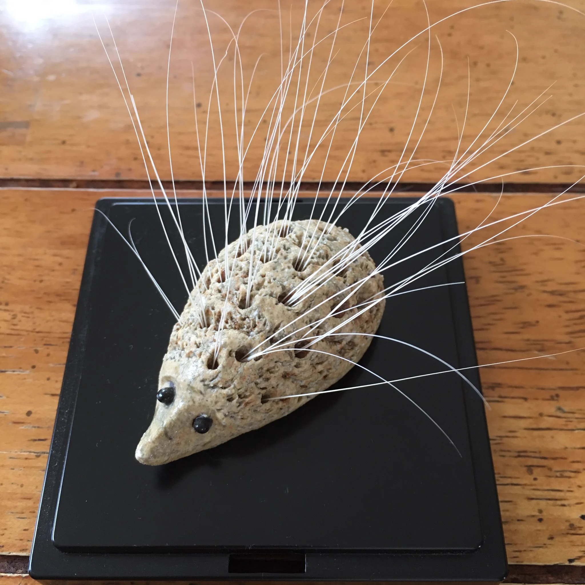 @kedamafarm わ〜、これすごく可愛い💕
うちではハリネズミの爪楊枝立てに刺しています。貧弱なヤマアラシみたいになってます😅 