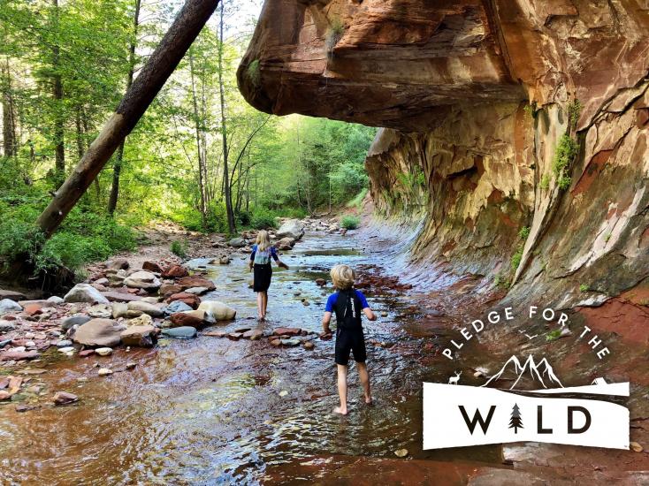 DiscoverFlg's tweet photo. Become a virtuous visitor when you #PledgeWild. Pledge for the Wild helps us promote responsible tourism among Flagstaff’s great wonders. After your adventure, consider giving back with a small donation to Flagstaff Trails Initiative. #GetOutGiveBack
https://t.co/wecdjF3WlW https://t.co/6PlNHPdLP7