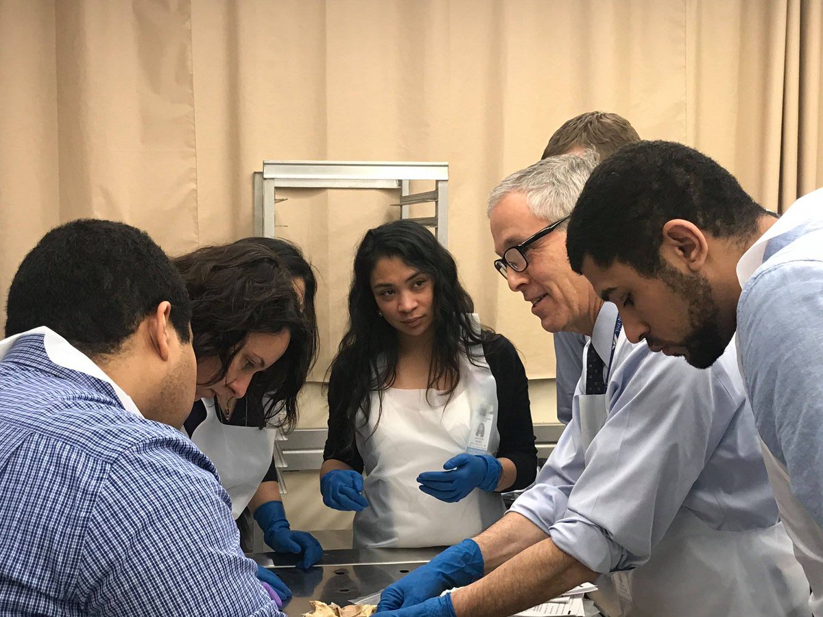 YaleCardiology's tweet photo. If you are an undergrad looking for a research project in cardiovascular disease, apply for our 10-week fellowship experience. Applications close March 1. #YaleSummer ☀️ 

Apply at: https://t.co/zxf57apodw

@YaleMed @YaleCIPE @edwardmillermd @YTRIC1 @ericjvelazquez @AHA_Research https://t.co/UhyskOsv5e
