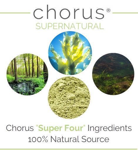 Chorus Supernatural tweet media