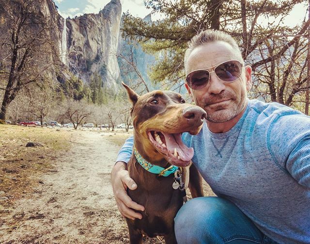 rubydooby_do's tweet photo. We need to go back to Yosemite!
.
Happy Sunday everyone!
.
#minigetaway #Californialife #winter #rubydooby_do #alldoberman #doberman #dudeswithdogs #hikingwithdogs #dobermann #dobiesofinstagram #dobielove  #topdogphoto #daddyofdogs #dobermanInstagram #do… https://t.co/ZqQkE1cAwT https://t.co/7efGmd3Axr