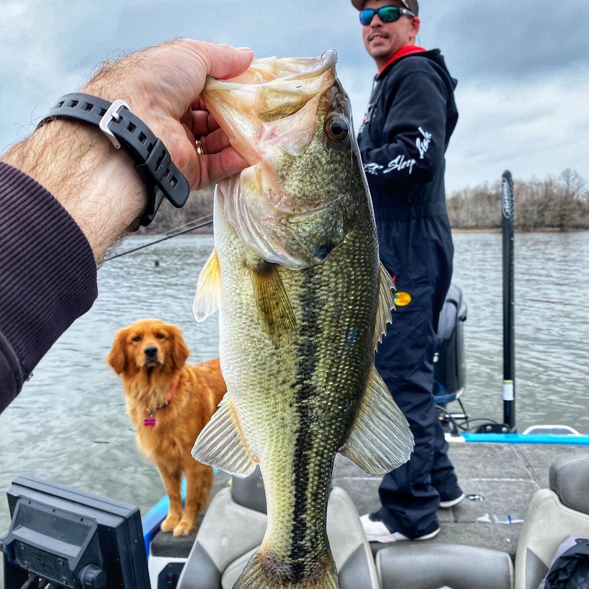 TIFRTV's tweet photo. #SundayFunday || Nothing beats fishing the lake & catching fish with your #fishingbuddies . @powerpole @CostaSunglasses #BassFishing #Bigbass #Lunker #Lunkers #LakeFishing #TexasAngler #BassMaster https://t.co/xoGQRfuYhq