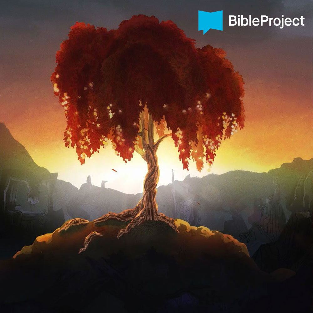 Twitter 上的 Bible League Canada: Twitter 上的 Bible League Canada: