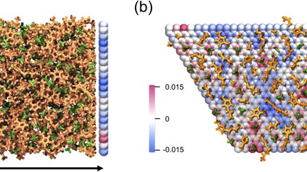 Interference of electrical double layers: Confinement effects on structure, dynamics, and screening of ionic liquids j.mp/37R5NPi #chemicalphysics