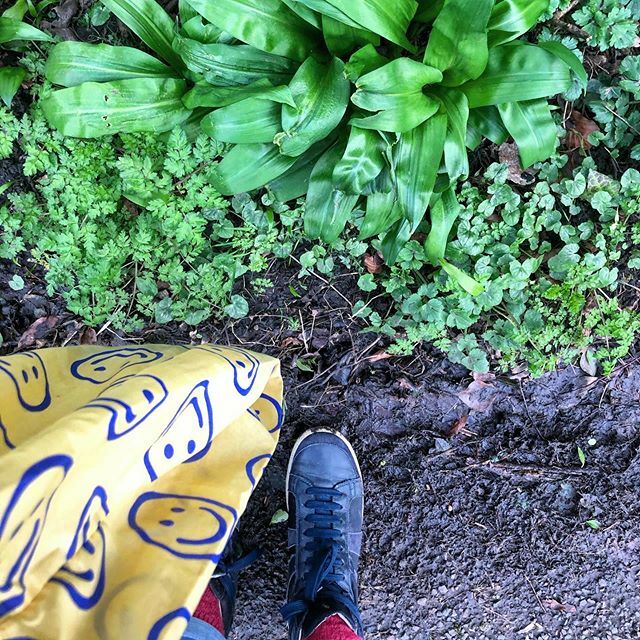 Somersalt tweet media