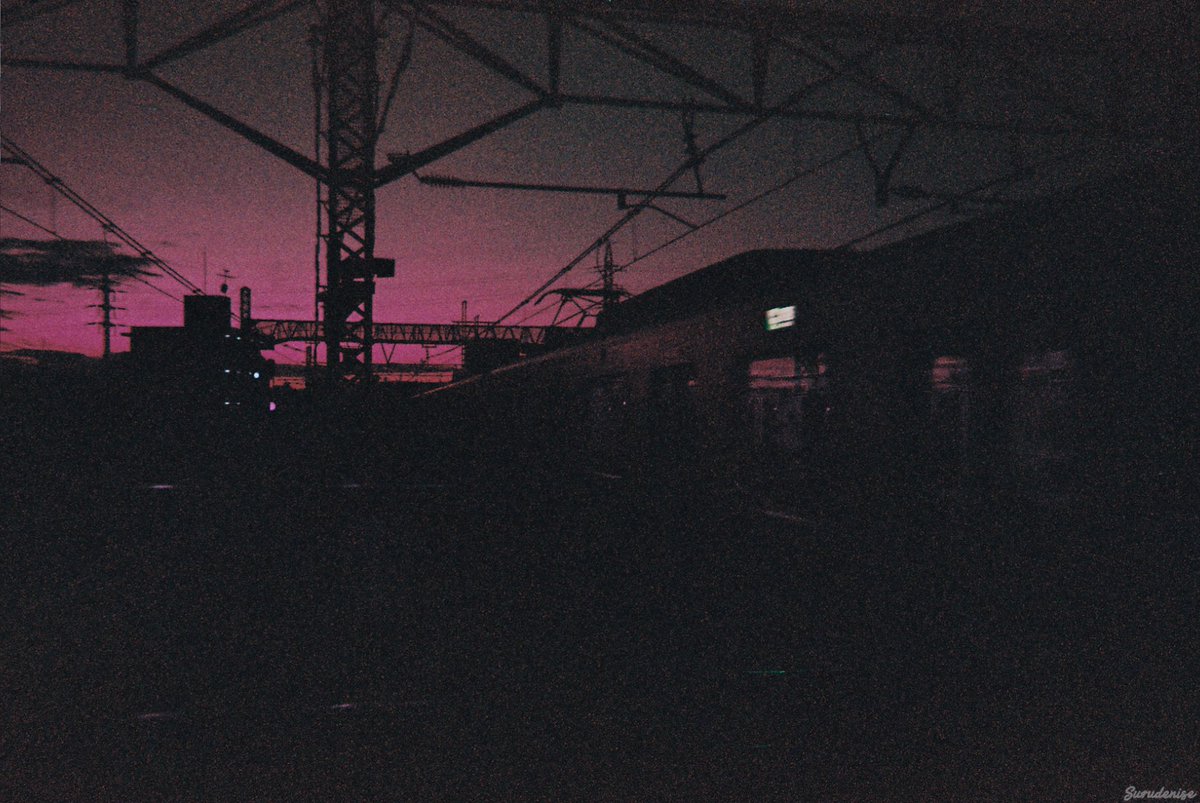 surudenise's tweet photo. My first roll of film in Tokyo, ended up looking like a fantasy world https://t.co/Px0p1m9b12
