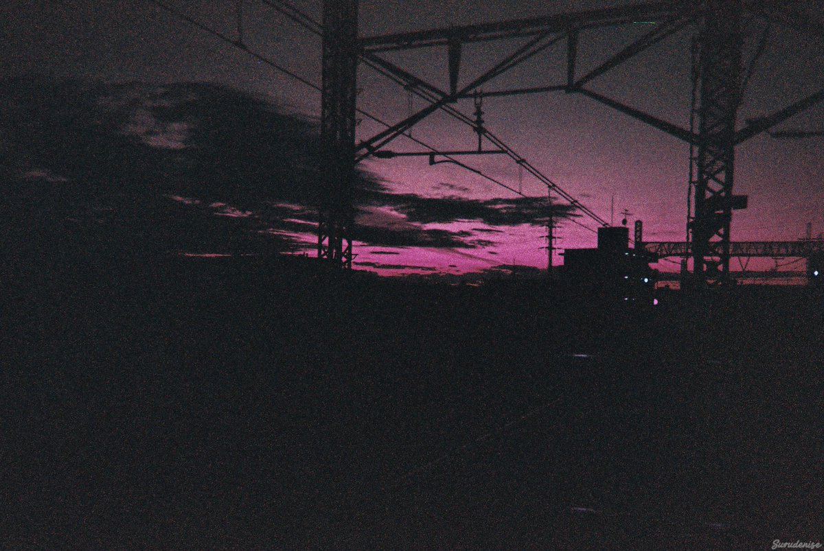 surudenise's tweet photo. My first roll of film in Tokyo, ended up looking like a fantasy world https://t.co/Px0p1m9b12