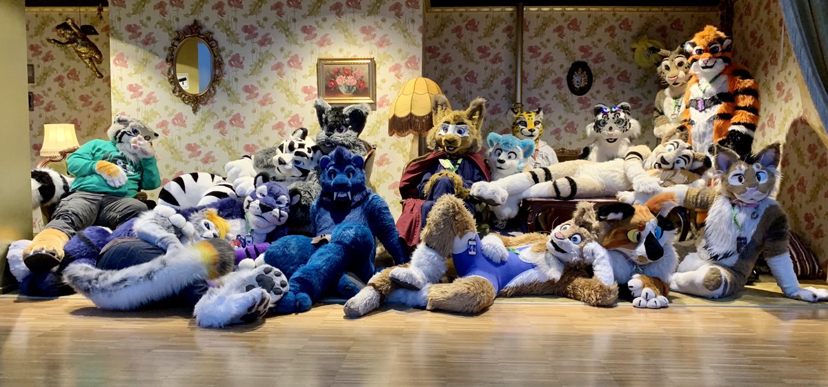 Was a nice dog and took pictures for cats #NFC2020