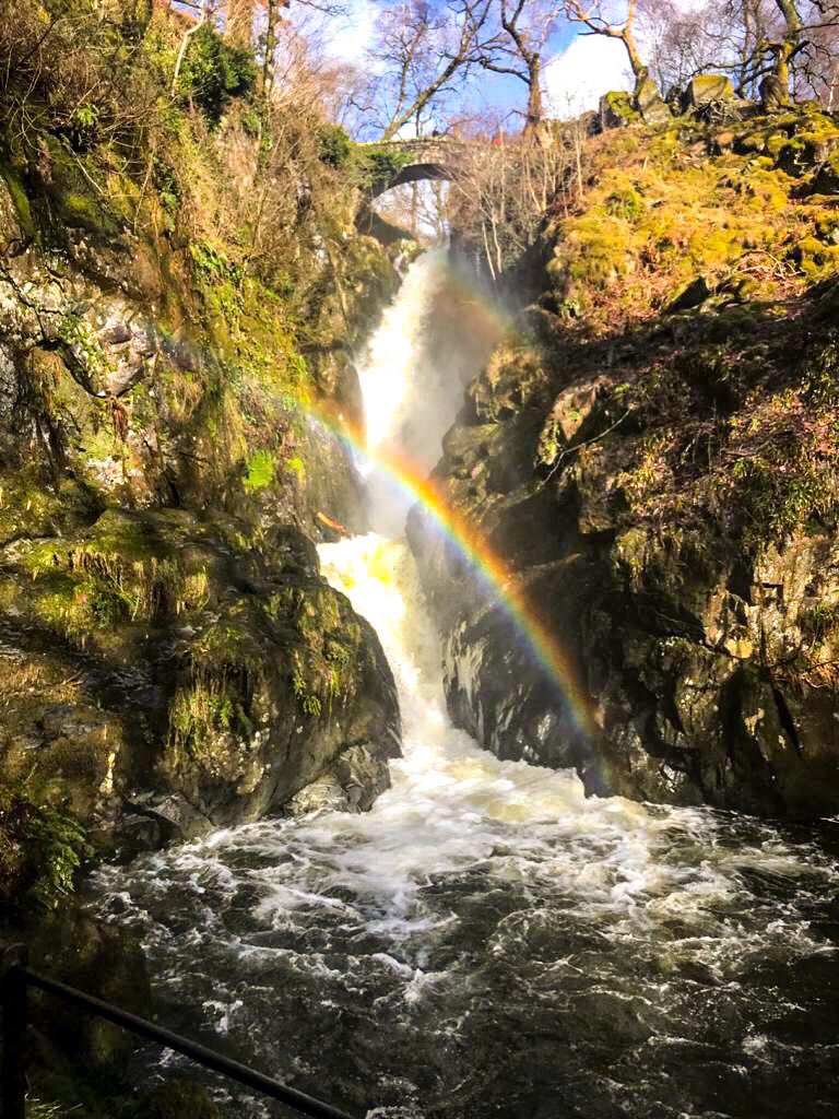 Aira Force today