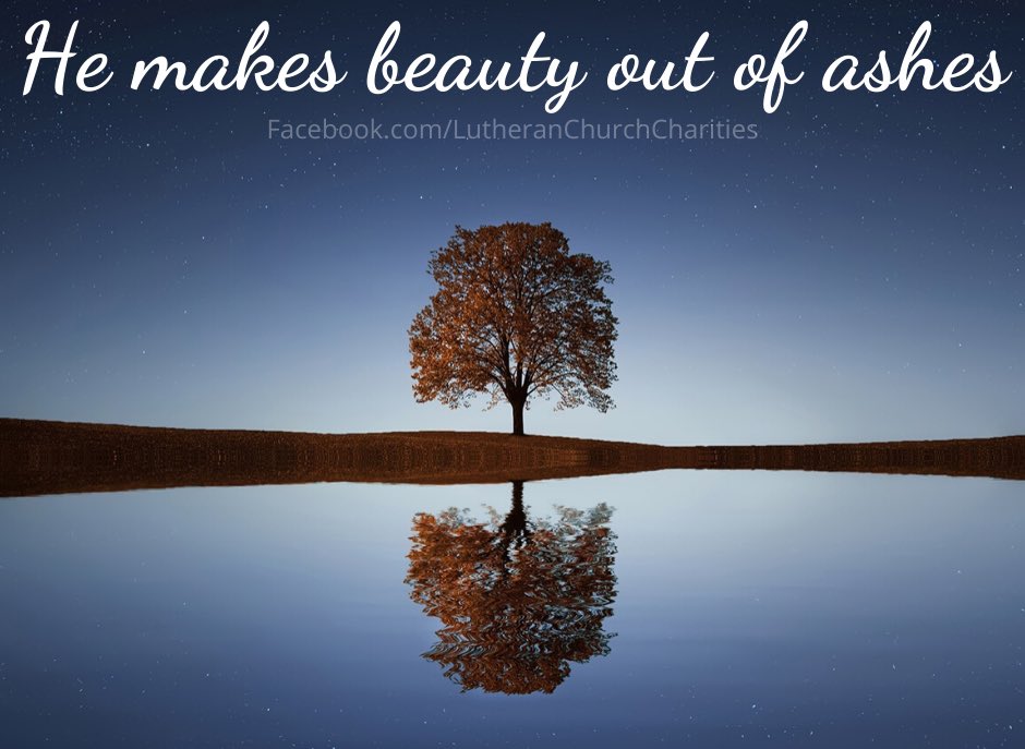 LCCharities's tweet photo. #love #comfort #SundayThoughts #SundayMorning #lccharities https://t.co/tLV88Ebqeh