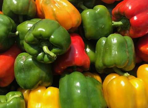 e_mbare's tweet photo. Look at these coloured peppers : They sure are big and beautiful !

You can find them in our vegetable baskets.
Contact us to place an order 
+263 784569812 https://t.co/OuKMcB9QRC
