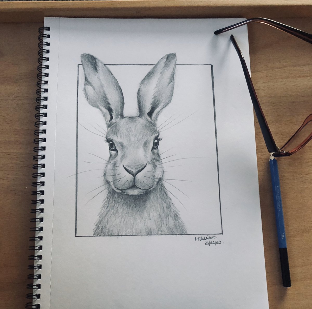 HanMeeks's tweet photo. And this is •HAYLEY THE HARE•, these are the start of my new collection, and it’s so nice and exciting getting back into it🤗 fresh head! 
•
•
•
#hare #animals #wildlife #art #artist #sketch #pencilsketch #sketchbook #arthub #love https://t.co/ansaObiefv