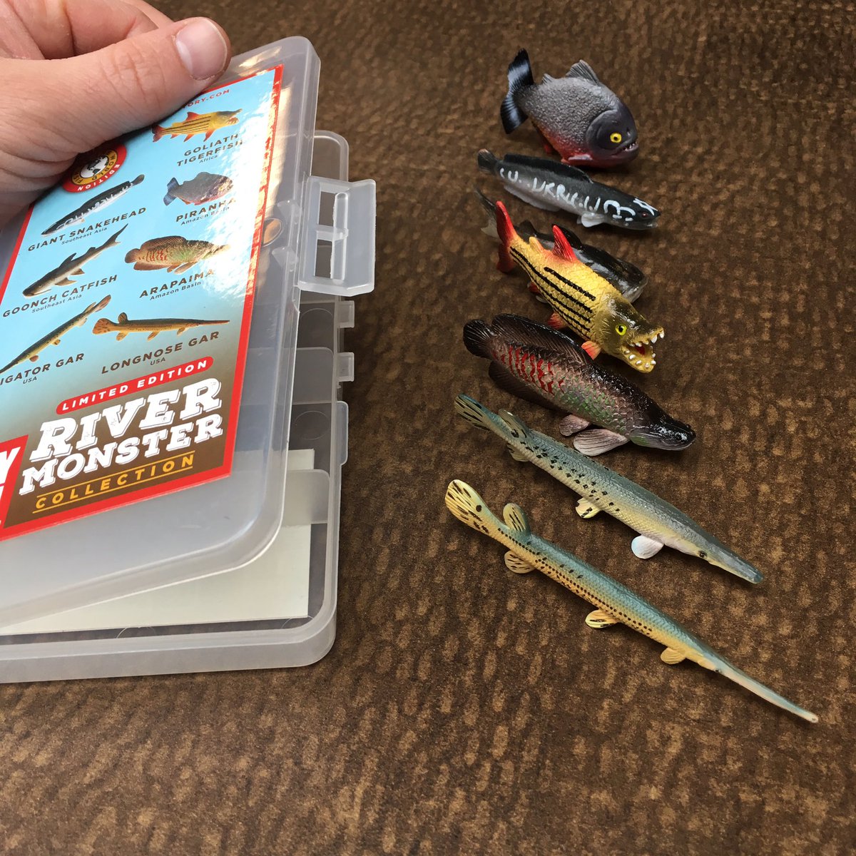 My wife got me this awesome set of #rivermonsters fish for my birthday! I’m especially excited for the #livingfossils. The #gar will fit in particularly well with my dinosaur toys. 🐟 @FaunaFigures @SolomonRDavid @PrimitiveFishes