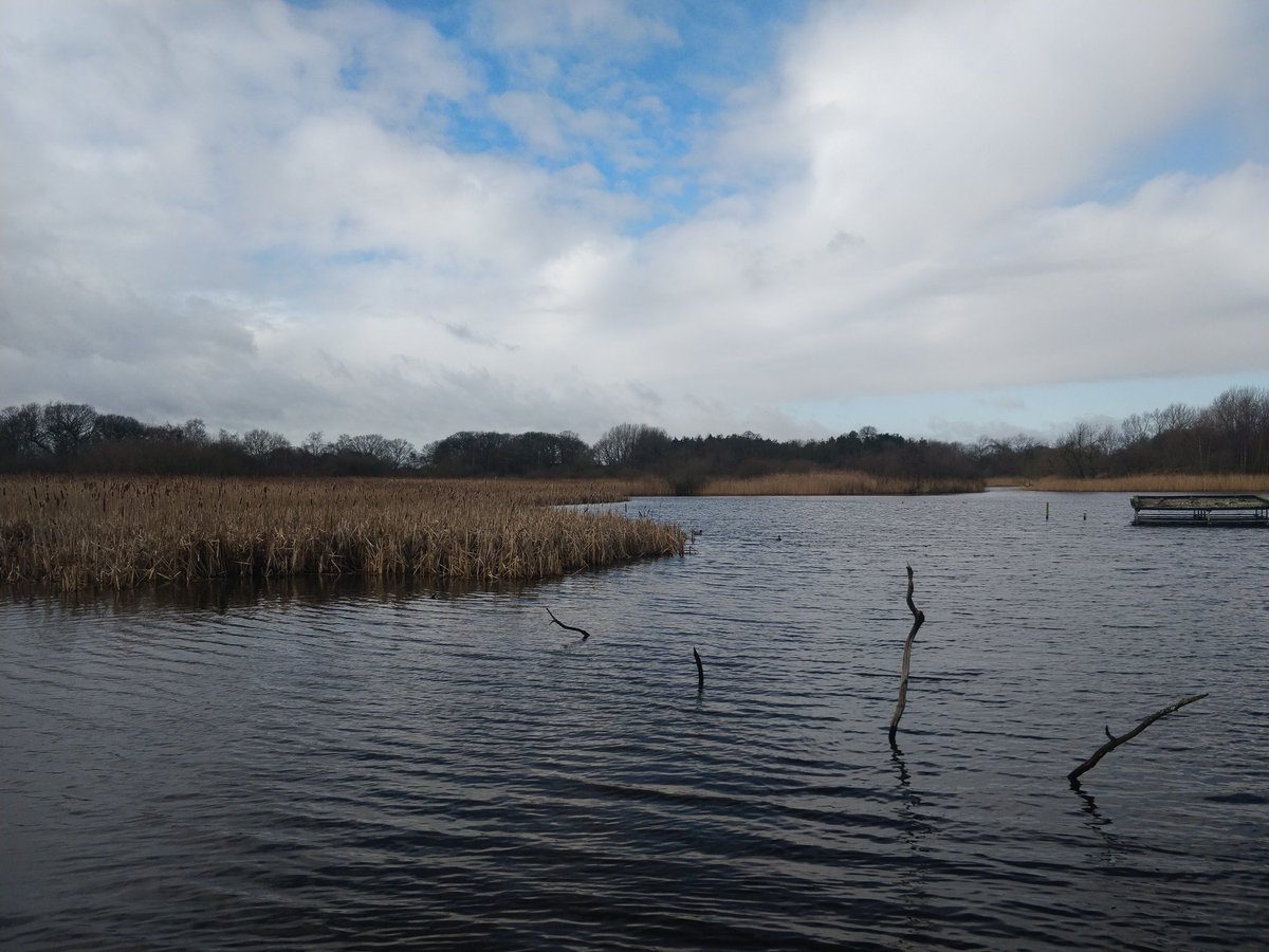 alice_watson14's tweet photo. Amazing day at @NEE_Naturalist as part of @RedSquirrelsUtd Red Squirrel Knowledge Fair. Saw no squirrels but met passionate volunteers, saw long-tailed tits and my first ever bullfinch. #redSquirrelGirl https://t.co/aMhq7ujenU