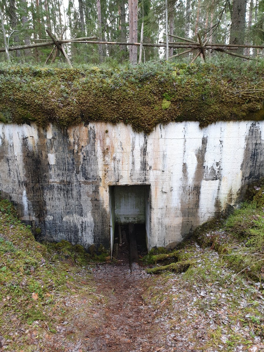 luomus_zoology's tweet photo. @luomus volunteers counted more than 400 hibernating #bats in the bunkers of #Salpalinja , SE Finland during the weekend - the record of all time! Most common species was the #NorthernBat Eptesicus nilssonii @lajitieto @helsinkiuni #batmonitoring #biodiversity https://t.co/1fcOl5KZeN