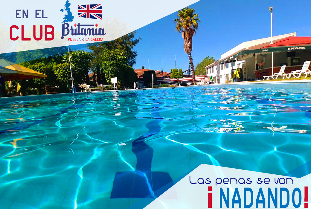 Introducir 101+ imagen club britania puebla Abzlocal.mx