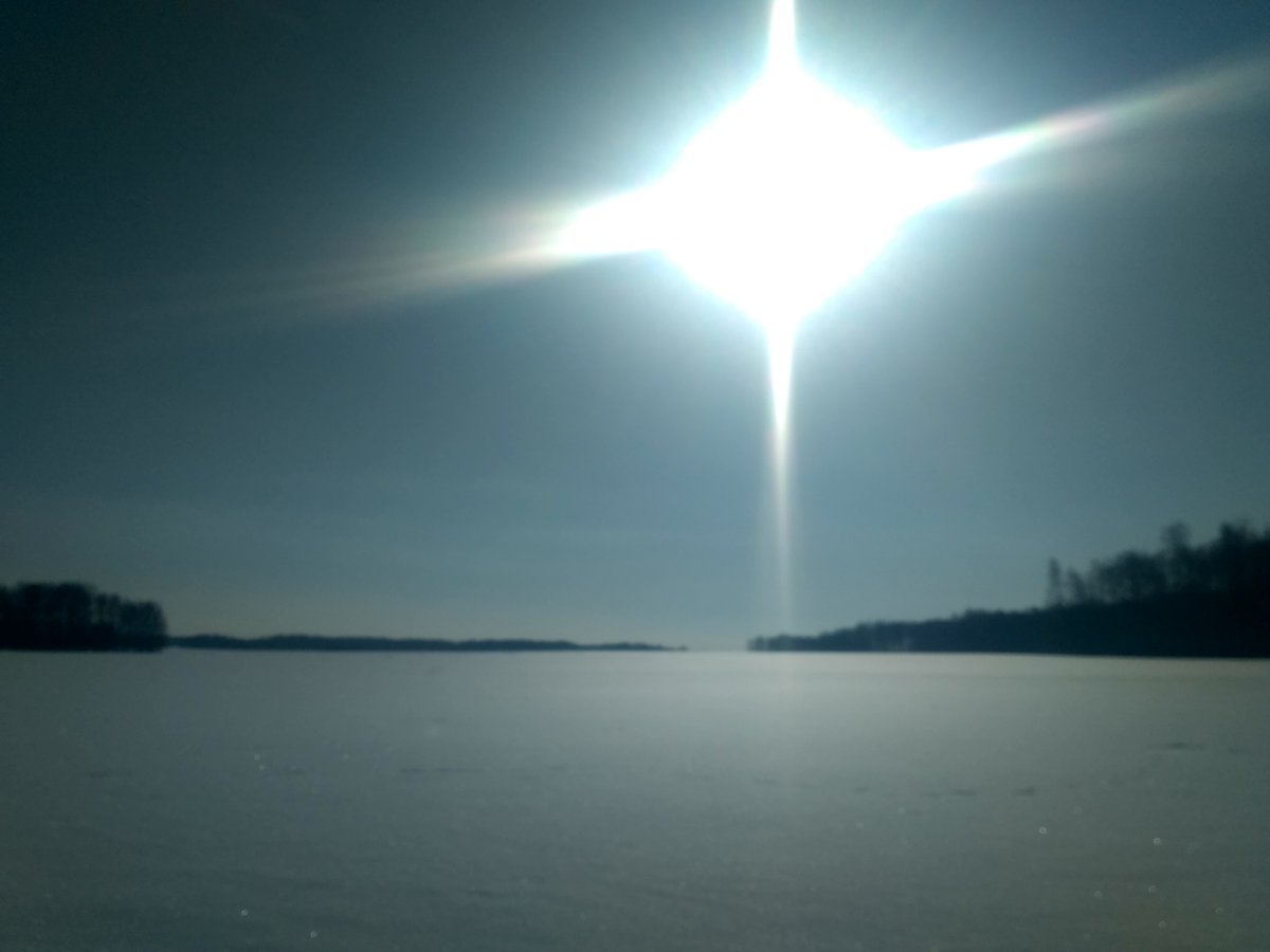 Руслан Шарифулин tweet media