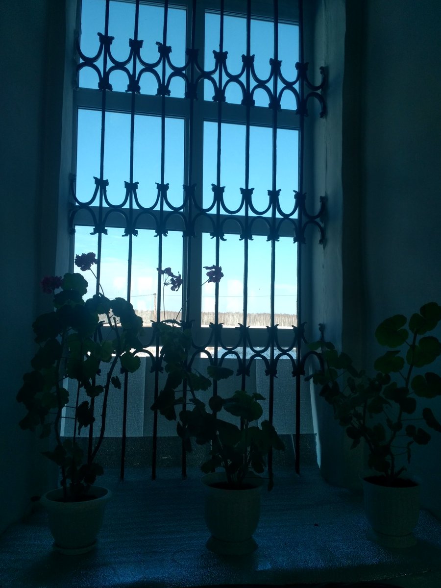 Руслан Шарифулин tweet media