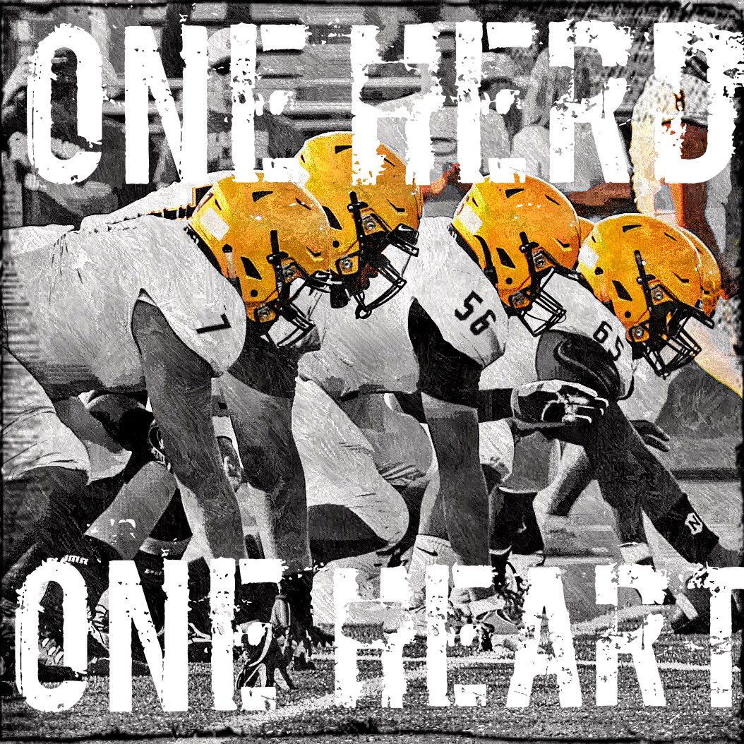 Taylor Counts tweet media