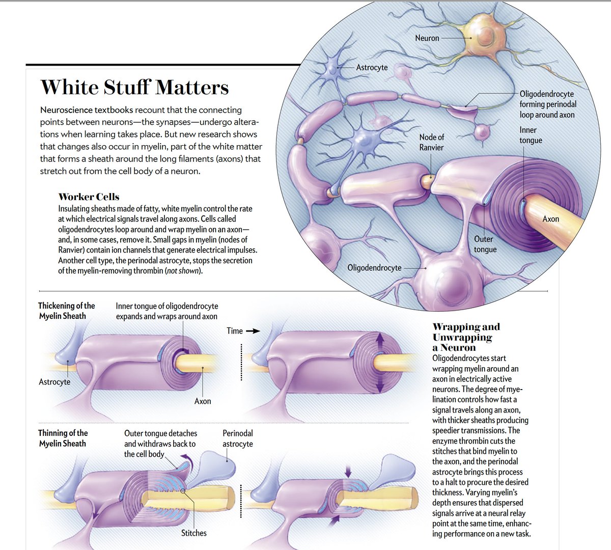 Matter перевод с английского на русский. What's the matter картинки. Conversion from one state of matter to another. Is matter перевод. Aggregate states of matter.