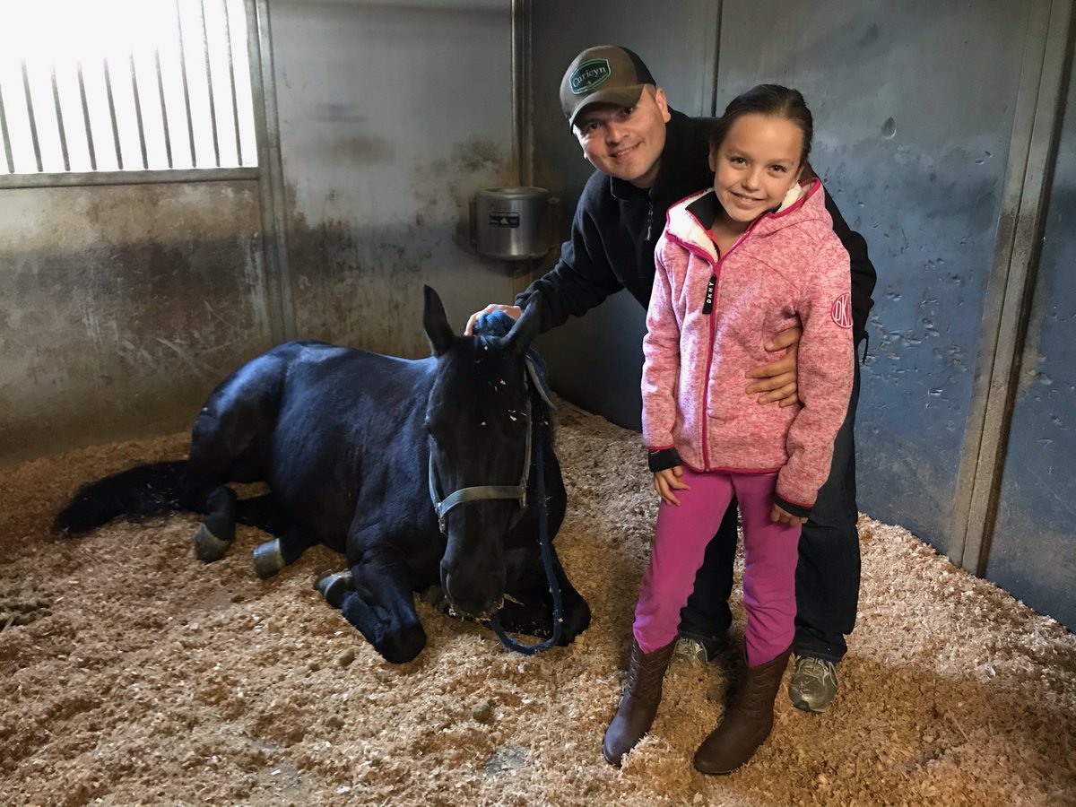 Horse Blue had an early visitor this morning  before he was able to get the straw out of his hair.  Thank you Maddie for helping out !!