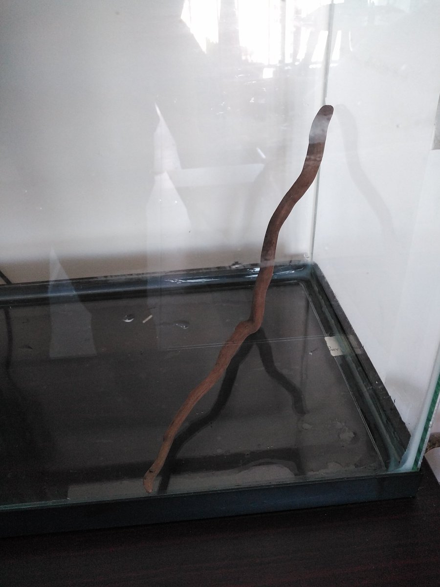 Kerberouss's tweet photo. Vendo Acuario, mueble y filtro en 100 dólares @ventas_PANAMA @vendelopty @Vendelo507 @ventasPTY https://t.co/ToN8gPuria