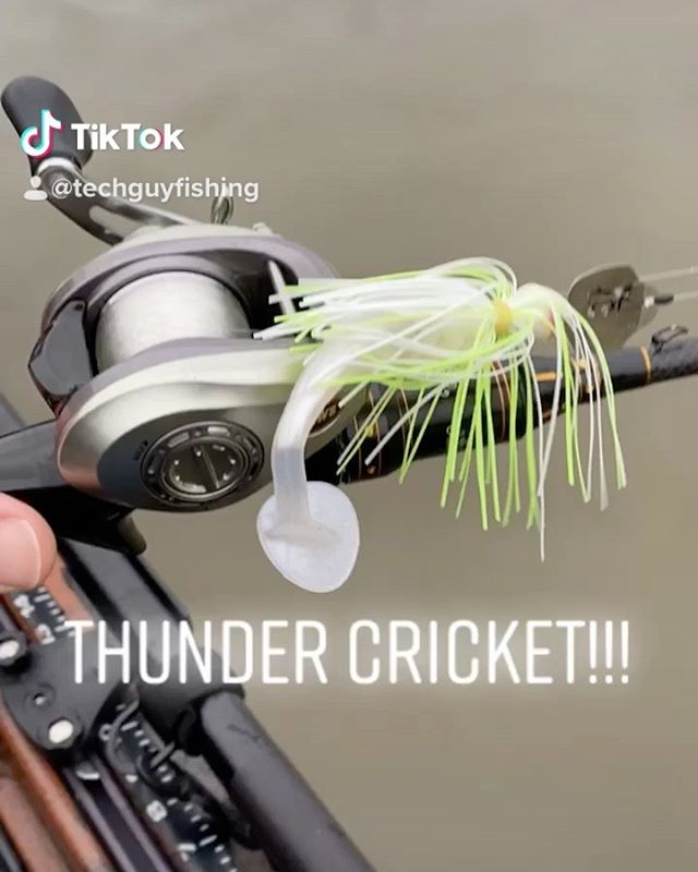 techguyfishing's tweet photo. Got the #ThunderCricket on the water for the first time today! Worth the #money? What do you think? Comment below. #bass #basschallenge #bassfishing #fishing #techguyfishing #chatterbait #strikeking https://t.co/rLQRmodgfL
