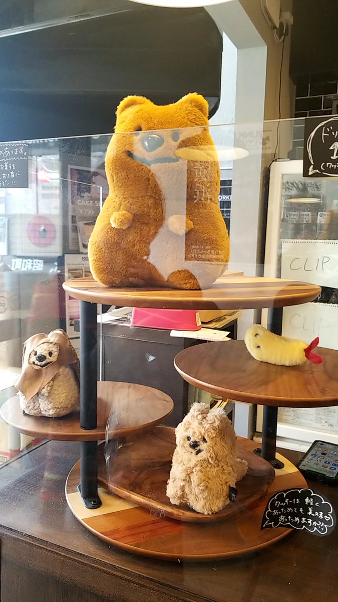 クオッカちゃん