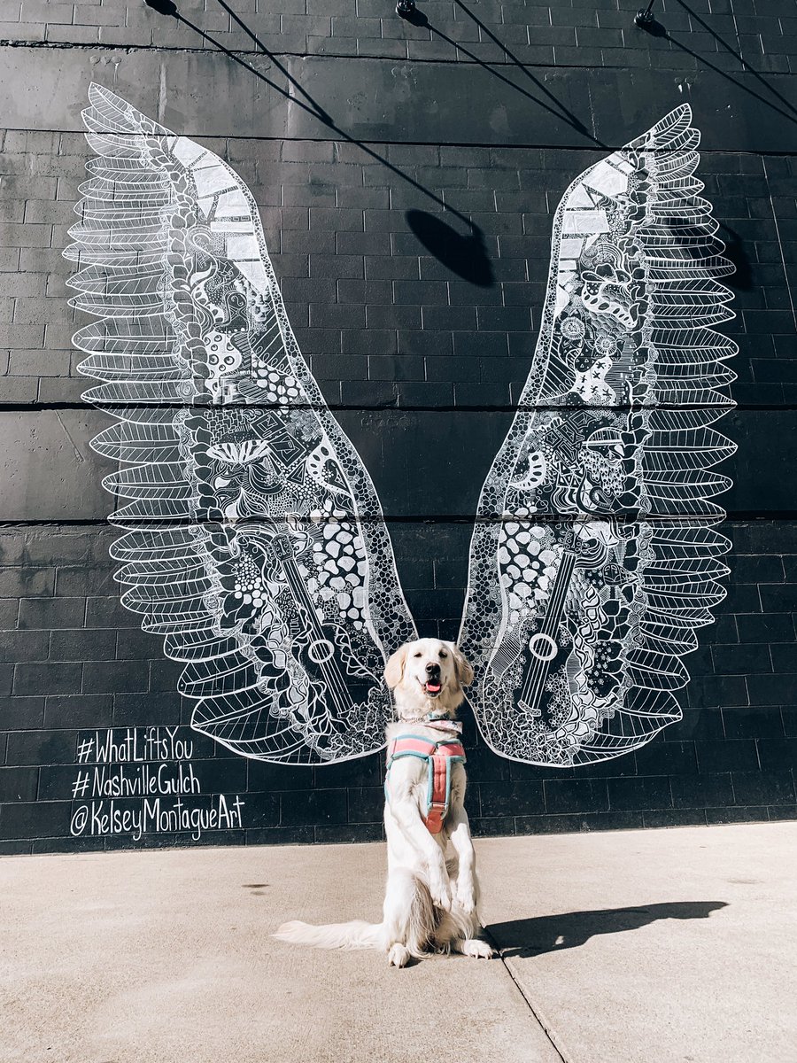 Be so committed to your personal growth that you’re willing to say no without guilt and yes without fear 🦋 ~ Ezra probably
#whatliftsyou #nashvillegulch #ezrathegolden