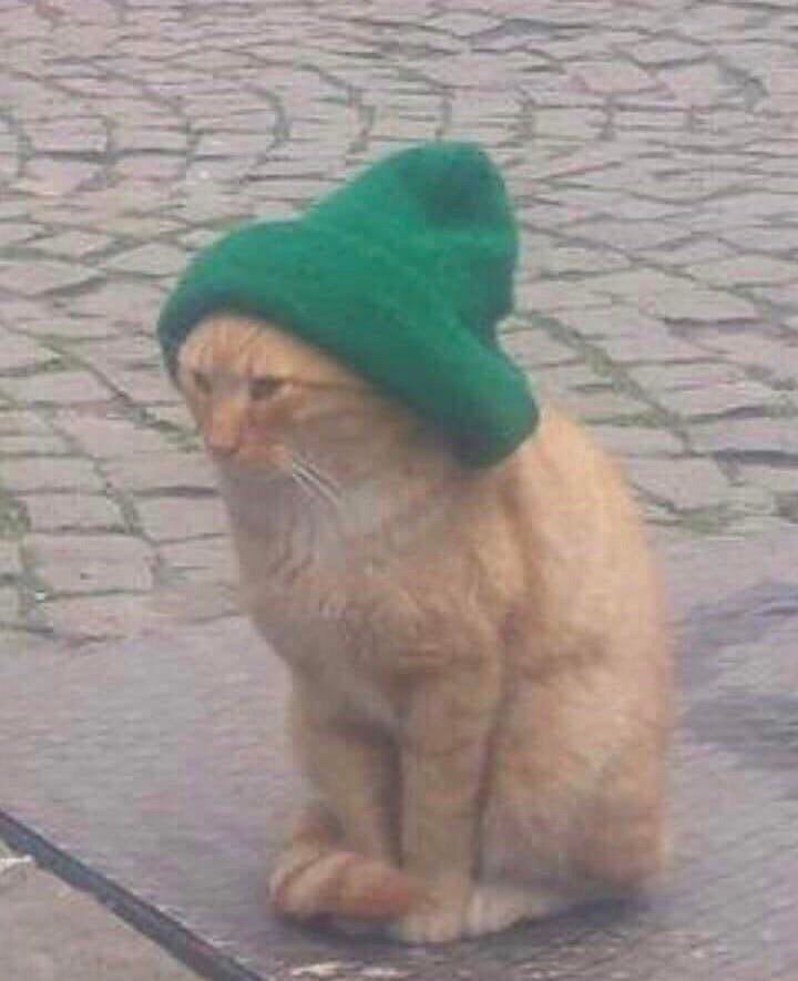 garyfromteenmom's tweet photo. mfs that wear their beanies like this act like they don’t know why they got a bad credit score https://t.co/tQrXLDLDOy