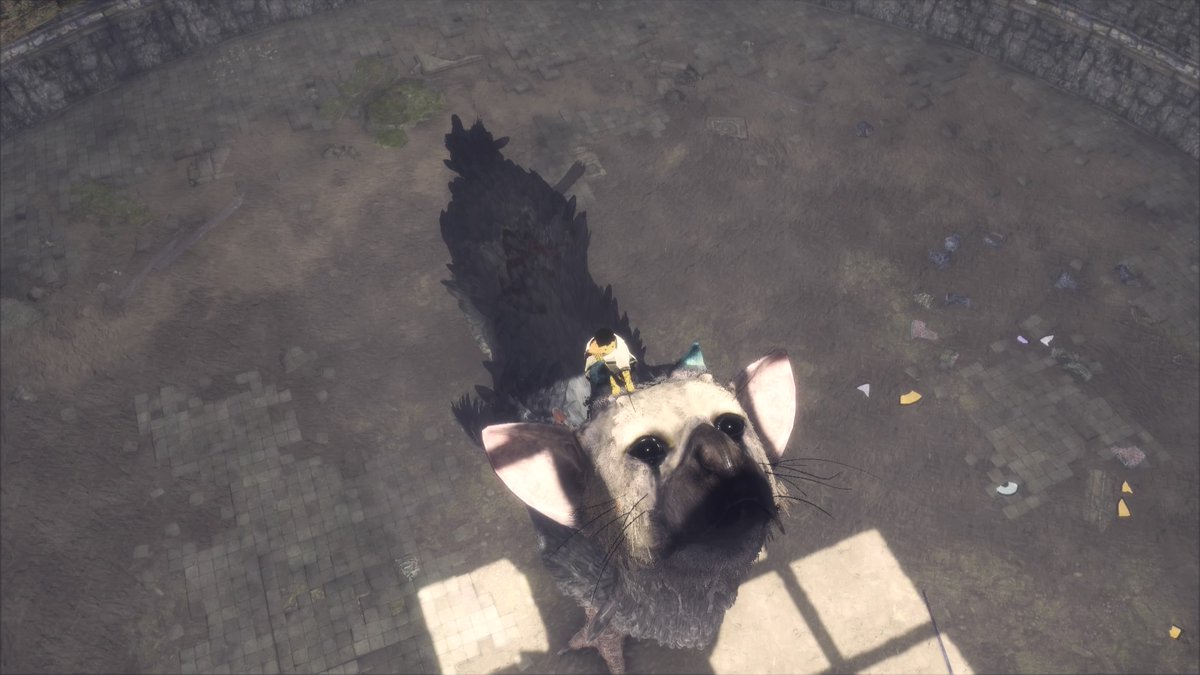 jasonegan24's tweet photo. #PS4share https://t.co/9TdjNbSE6t