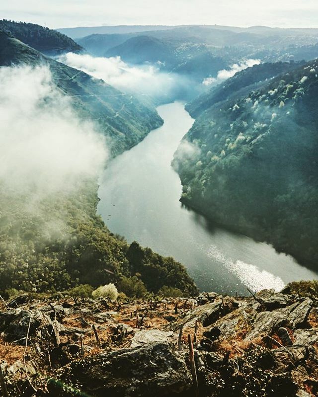 What’s 2020’s most exciting wine country? If I had to choose one it could well be Spain, whose renaissance of long-forgotten vineyards and old-school winemaking techniques is behind some of the world’s best new domaines. Many of these are in London for t… ift.tt/2Pjkfcv