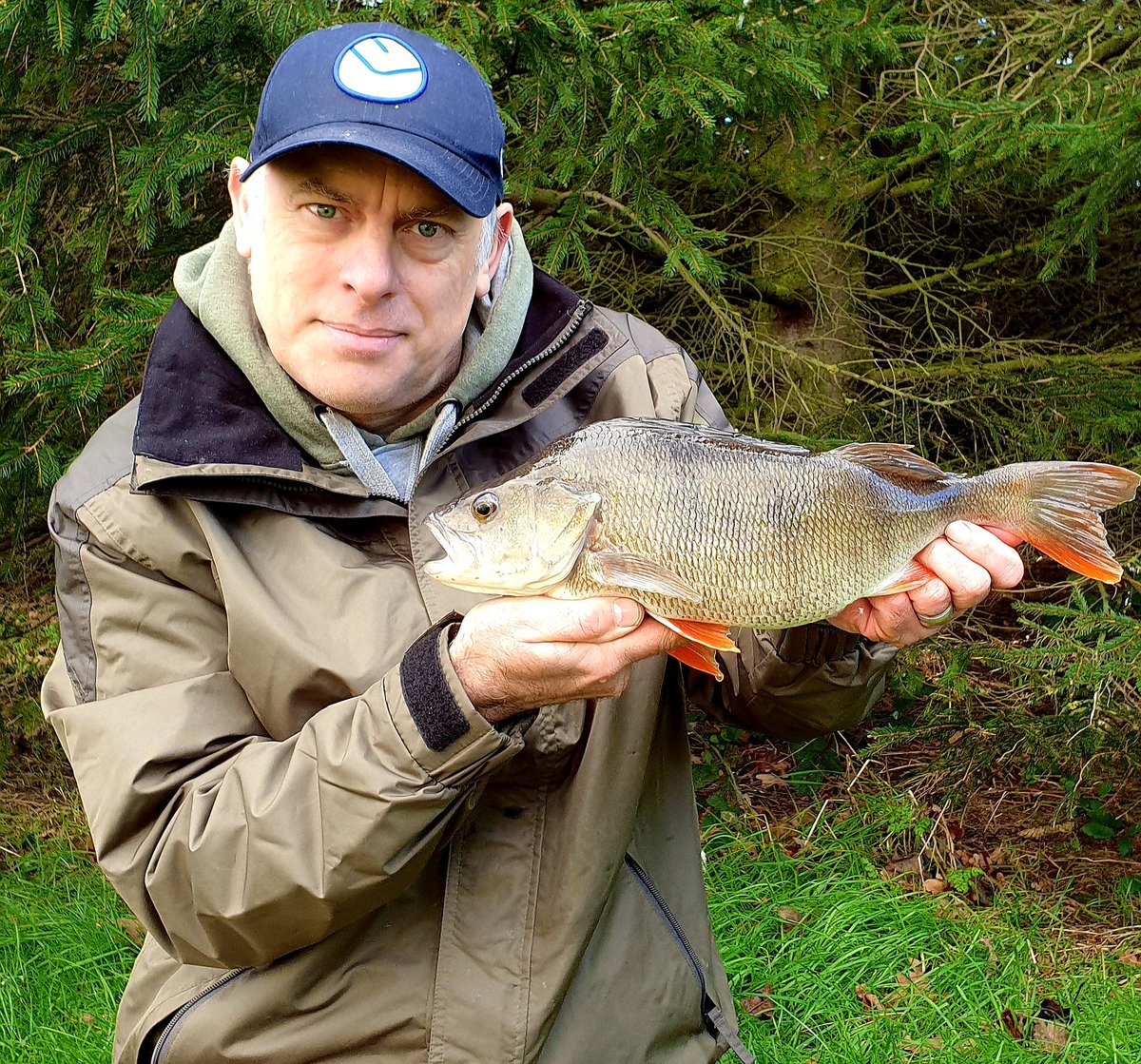 dunwell_mark's tweet photo. Today's adventure was chasing perch whole king prawn soaked in @DNABaitsUK apex on a @KorumFishing  size 6 supersteel hook proved hard to resist for this 3lb 2oz fish.korum glide rod and axis 3000 reel completed the set up
#korum #dnabaits https://t.co/L3SsNrpNO8