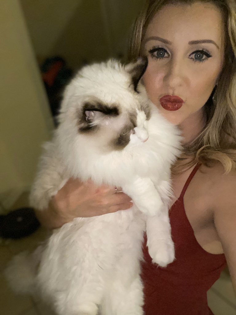 Ambo821's tweet photo. Update! Charlie or as we like to call him #HurricaneCharlie or #CharCharBinx is 8 mos old and Ginormous! #mrman #allgrowdup #ragdoll #catmom #crazycatlady https://t.co/fiRMxRHbZm