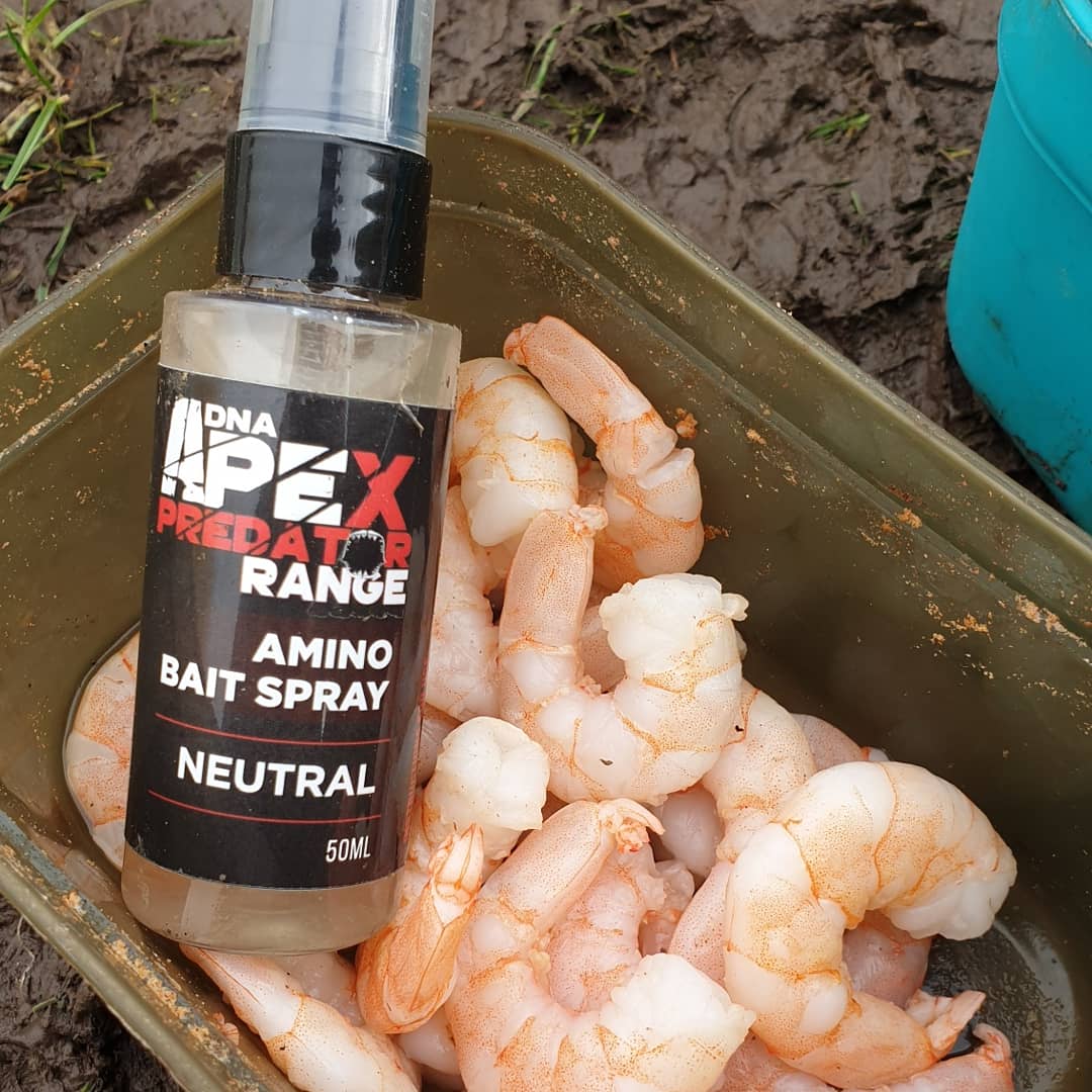 dunwell_mark's tweet photo. Today's adventure was chasing perch whole king prawn soaked in @DNABaitsUK apex on a @KorumFishing  size 6 supersteel hook proved hard to resist for this 3lb 2oz fish.korum glide rod and axis 3000 reel completed the set up
#korum #dnabaits https://t.co/L3SsNrpNO8