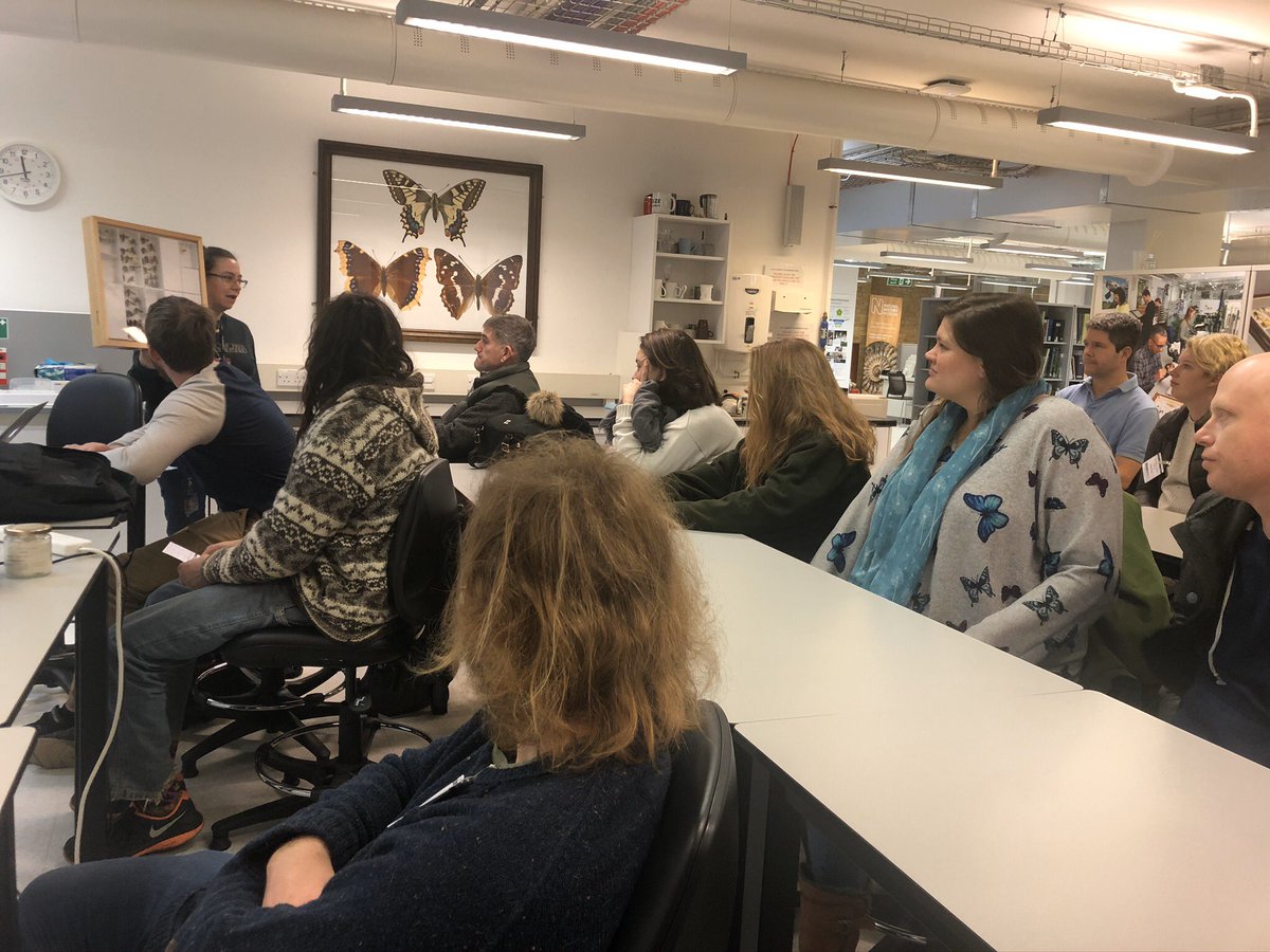 UC_Sparsholt's tweet photo. #Wildlife #Ecology and #Conservation students heard from the fantastic @flygirlNHM and her colleagues @NHM_London @NHM_ID on the importance of museum collections and all about the most fascinating animals on earth entomology! Sign up to our next open day: https://t.co/6I9b0NuajI https://t.co/mjsncfEhKF