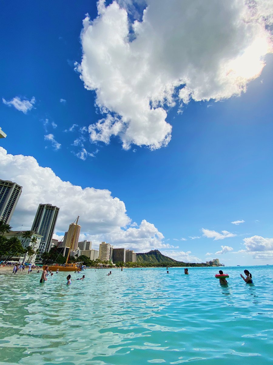 Bay Area Buzz tweet media