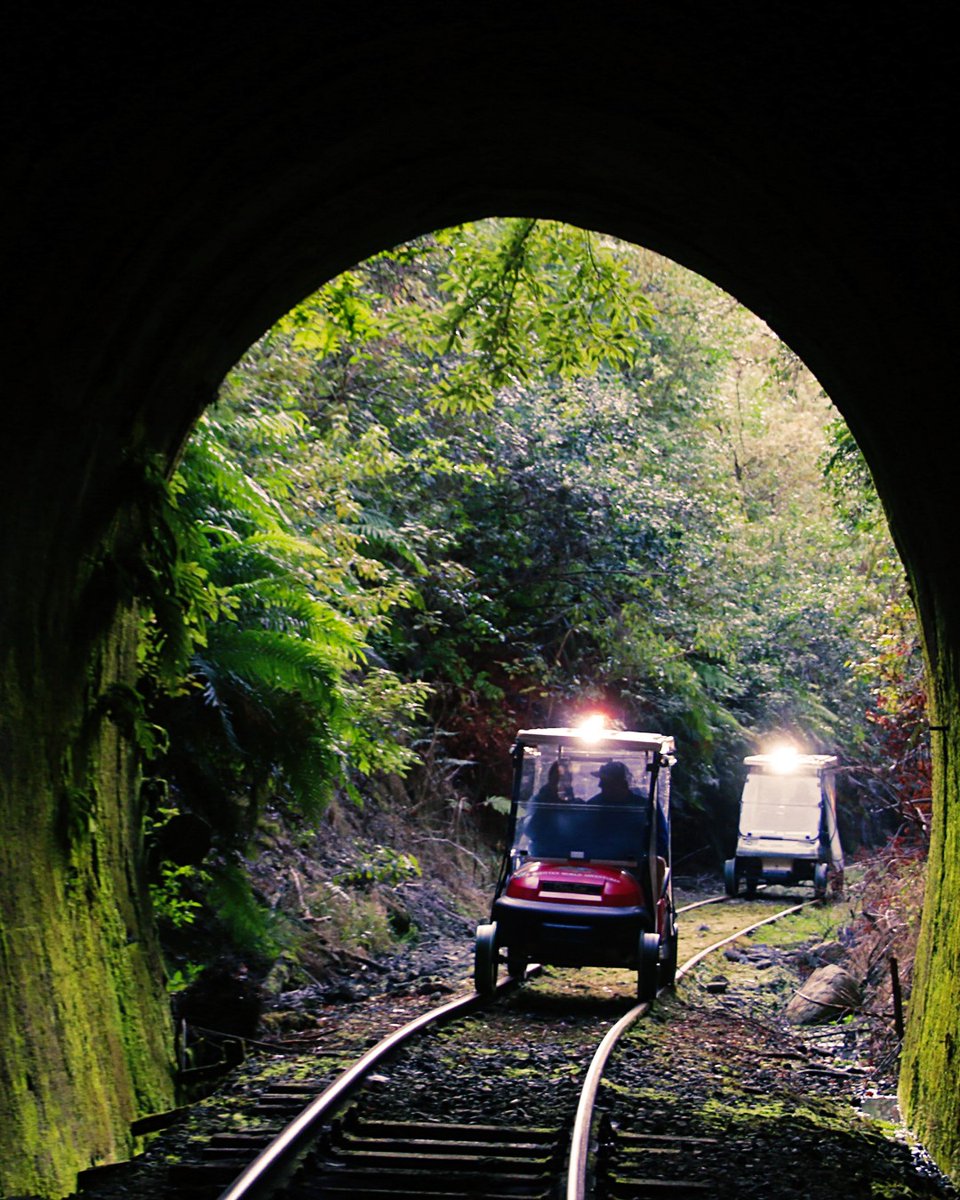 FWAdventures's tweet photo. 🎵Hi-ho, hi-ho....it's off on a tour we go...! 🎵
Comment with your favourite tunnel photo and tell us what you loved about your tour...😀

📷 Sophia Haugh
#forgottenworldadventures #ridetherails https://t.co/29P8u6JoXT