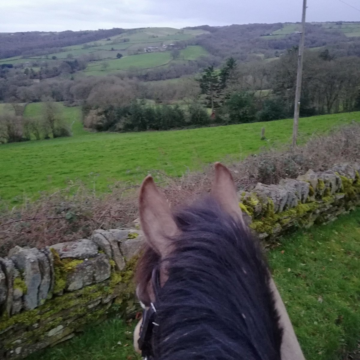 Pocket_Rocket_E's tweet photo. #StormEllen hasn't stopped us this weekend. We've got the #britisheventing season starting in 5 days so preparation is our priority!
#eventing #britisheventing2020 #britisheventingambassador #peakdistrict #happyhacking https://t.co/DWz9CzehDa