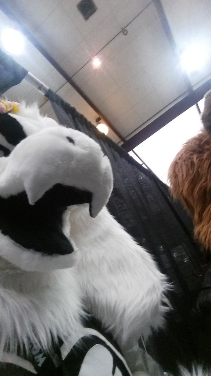 🏳️‍🌈Cold(Nut Boy) #1 Samurott fan tweet media