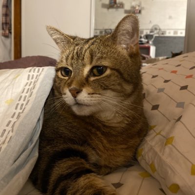 postbadnoisette's tweet photo. #NouvellePhotoDeProfil https://t.co/NVX5r1le26