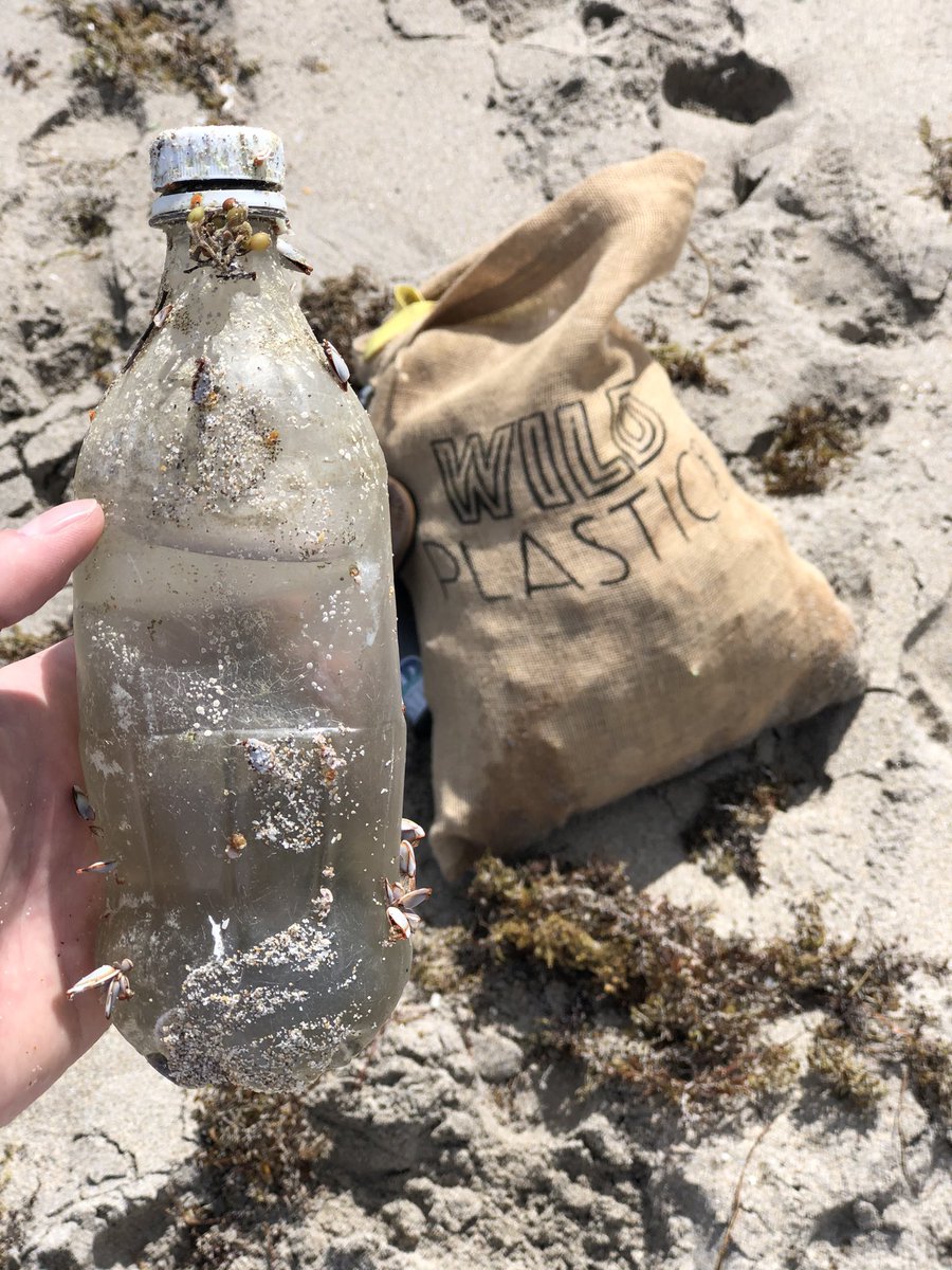 wildplasticorg's tweet photo. Where do you think your #plastic waste eventually ends up? #mysolutiontooceanpollution #wildplasticorg #wildplastic #saveourseas #oneless #ecofriendly #eco #environment #sustainable #recycle https://t.co/kV98laovUf