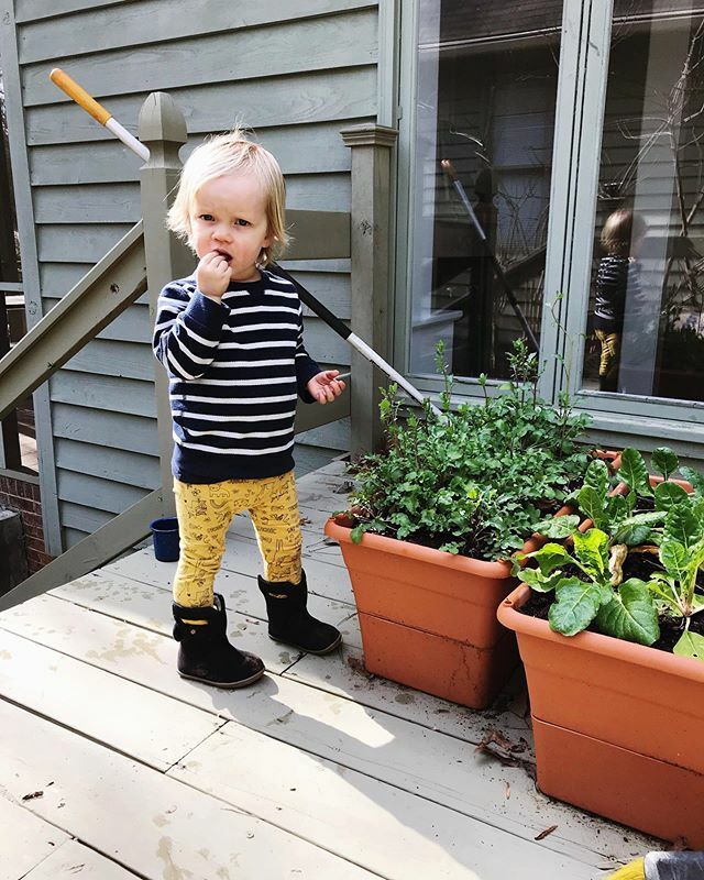 Garden clean up in the sunshine and taste testing our winter greens crop. ift.tt/2SSEoIA