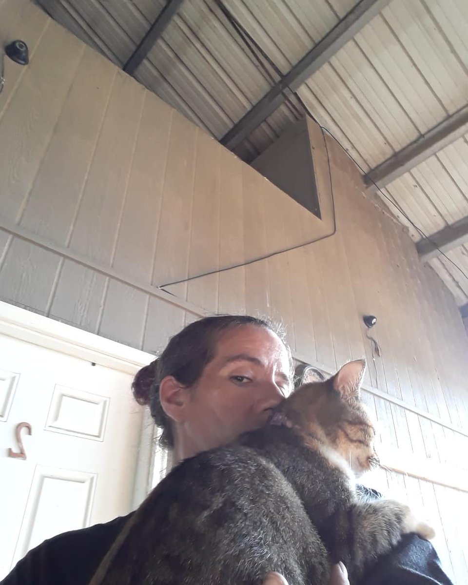 barncatlady's tweet photo. My Daisy girl! โคโคโค
#barncatlady #barncats #barncatsofinstagram #barncatsrule #barncatrescue #barncatlife #cats #catsofinstagram #catstagram #formerlyferal #adopted #adoptdontshop #spayandneuter #catsoftwitter #spayed #torbiesofinstagram #torbies #cuddlingcats #shoulderkitty https://t.co/lwzdnqkz7A