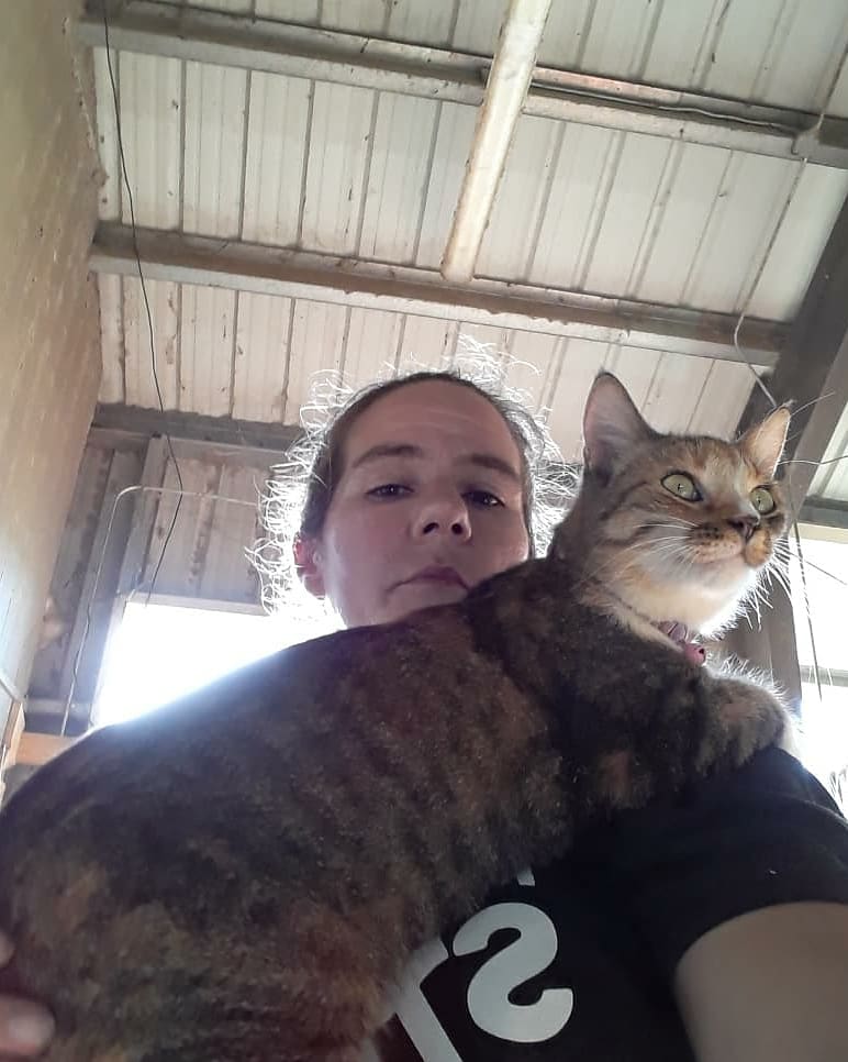 barncatlady's tweet photo. My Daisy girl! โคโคโค
#barncatlady #barncats #barncatsofinstagram #barncatsrule #barncatrescue #barncatlife #cats #catsofinstagram #catstagram #formerlyferal #adopted #adoptdontshop #spayandneuter #catsoftwitter #spayed #torbiesofinstagram #torbies #cuddlingcats #shoulderkitty https://t.co/lwzdnqkz7A
