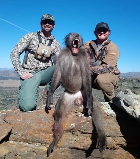XposeTrophyHunt's tweet photo. PH Bruce Niland from Thaba Thala Safaris helped his client to kill this baboon. In photo 1 they display him like this for crude jokes. While both photos display his teeth, &amp; call him a beast. The only beasts are the humans who shot him from a distance &amp; brag.😒
#BanTrophyHunting https://t.co/w0NXjnin57