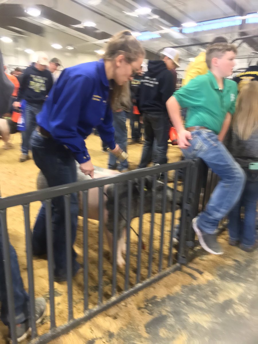 RuudSports's tweet photo. Sundayโs are for stock show prospecting #ItsAGreatDayToBeAnAggie
#PistolsUp #WeArePanhandle #PanhandleProud #OneAggie #AggieFam #Prospecting #Admissions https://t.co/TfUpHxpwWu