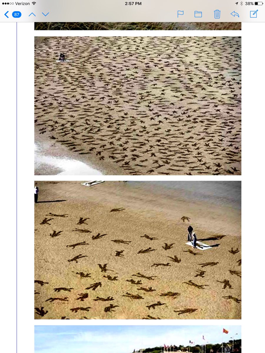 Kevin niebur tweet media